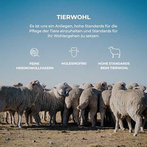 Dilling Damen Merino Wolle Trägertop Schwarz 38 – Unterhemd Aus 100% Bio Merinowolle – Atmungsaktives Top Mit Trägern Ohne Superwash – Nachhaltige Damen Unterwäsche - Schwarz 38