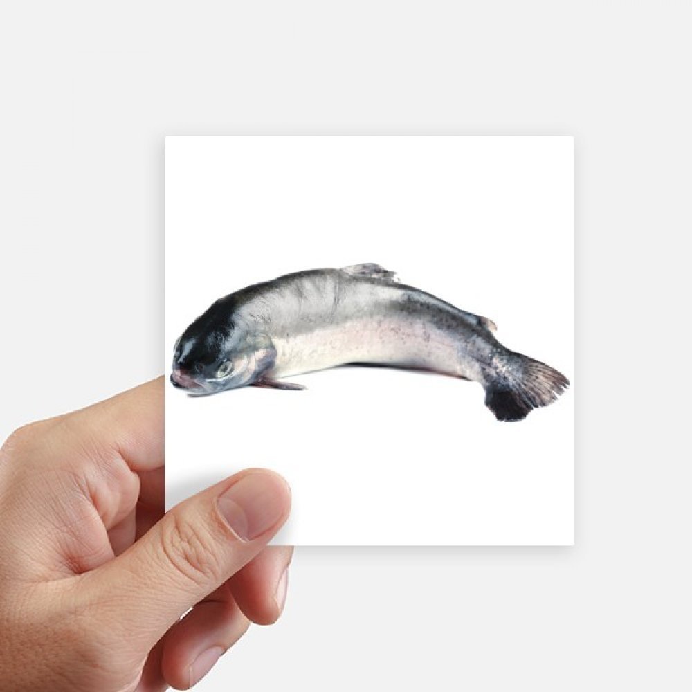 Autocollant carré poisson océan vivant DIYthinker 10cm lot de 8 stickers imperméables pour pc