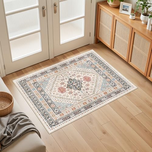 Restydon 2x3 Entryway Rug Washable Rug Runner for Kitchen, Blue/Red/Multi