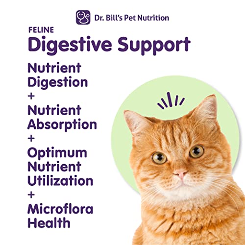 Dr. Bill’s Feline Digestive Support | Pet Supplements | Probiotics For Cats | Contains Ginger Root, Psyllium Husk, Lemon Balm, Bifidobacterium, And Fructooligosaccharides #TOP1