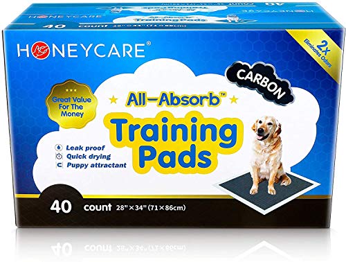 HONEY CARE All-Absorb Puppy Training Pads | Dog Potty Pads Absorb Eliminating Urine Odor, Jumbo-Size Charcoal Puppy Pee Pad (Carbon, XL 28x34 inch, 40ct)