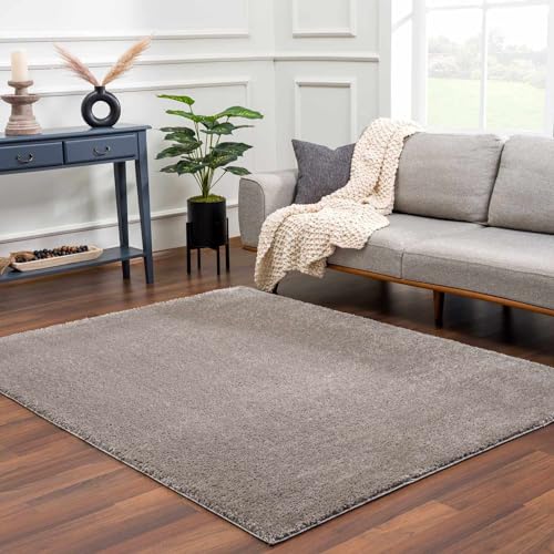 BoutiqueRugs Gray Solid Contemporary 9x12 Large Area Rug Shag Plush Charven Great Room Open Concept Master Bedroom Large Dining Room 9'3" x 12' Stain Resistant Non-Shedding Pet Friendly