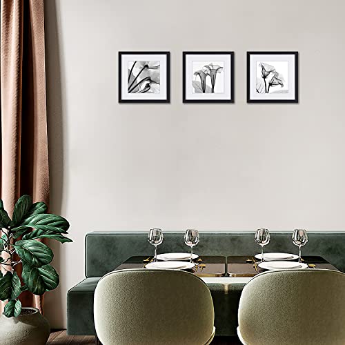 Black And White Flower Wall Art Abstract Decor Transparent Floral Canvas Print For Home Decorations A Set Of Tulip Printed Posters Painting Pictures 3 Piece Framed Photos Black Frames #TOP1