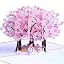 Cherry Blossom Tree
