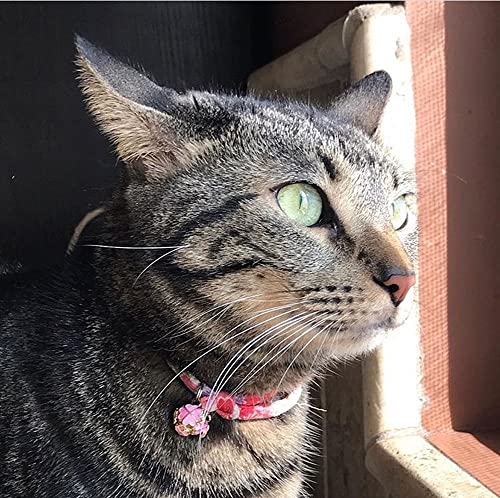 Petsokoo Four-Leaf Clover Cat Collar With Bell Breakaway Buckle. Japan Chirimen,Cute Kitten Collar For Girl Boy,Samll Cat,Yellow #TOP4