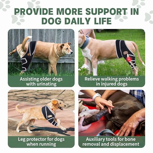 Adjustable Dog Hind Leg Brace for Small to Large Dog,Dog Knee Brace for Torn Acl Hind Leg with Metal Stabilizer- Keeps The Joint Warm and Stable,4 Size,L. by Foorose - Used condition - Image 3