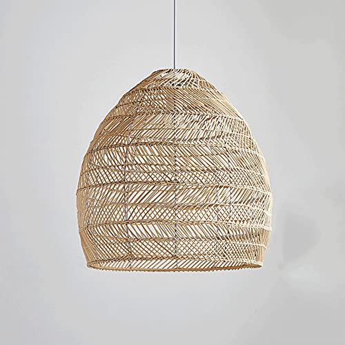 Branche d'osier suspension bohème pour salon chaleureux RLKHXBS