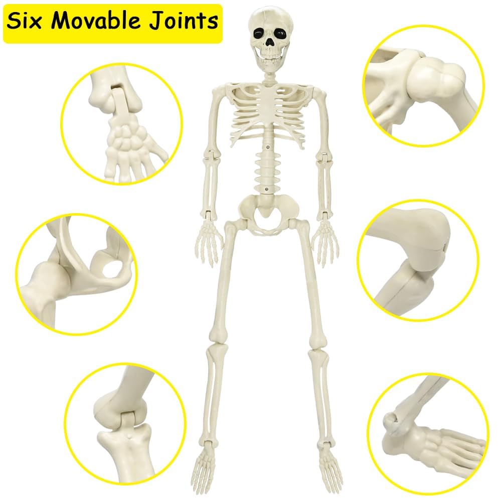CAMIRUS Esqueleto de Halloween de 3 pies, esqueleto de Halloween de cuerpo completo de 36 pulgadas con articulaciones articulables móviles, accesorio de huesos humanos realistas de plástico para
