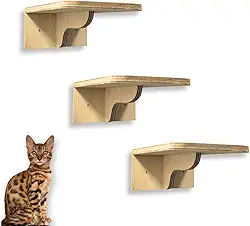 Prateleira Gato 3pçs Área Externa Playground Gato Resistente