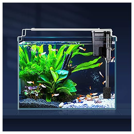 LAQUAL Aquarium Starter Kit (3 Gal), Rimless Glass Low Iron Fish Tank, Ultra Clear Fish Tank with Filter and Light, Small Beta Fish Tank & Filter with Surface Skimmer & 3-Mode LED Light