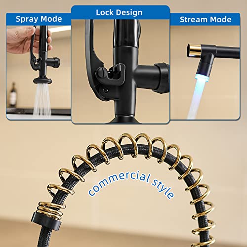 Fapully Led Kitchen Faucet With Pull Down Sprayer,Black&Gold Commercial Kitchen Faucet For Kitchen Sink #TOP4