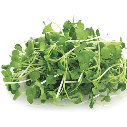 Park Seed Easy DIY Planting Sow Effortless Collection Seed Mats, Organic Arugula Microgreen, (Set of 2)