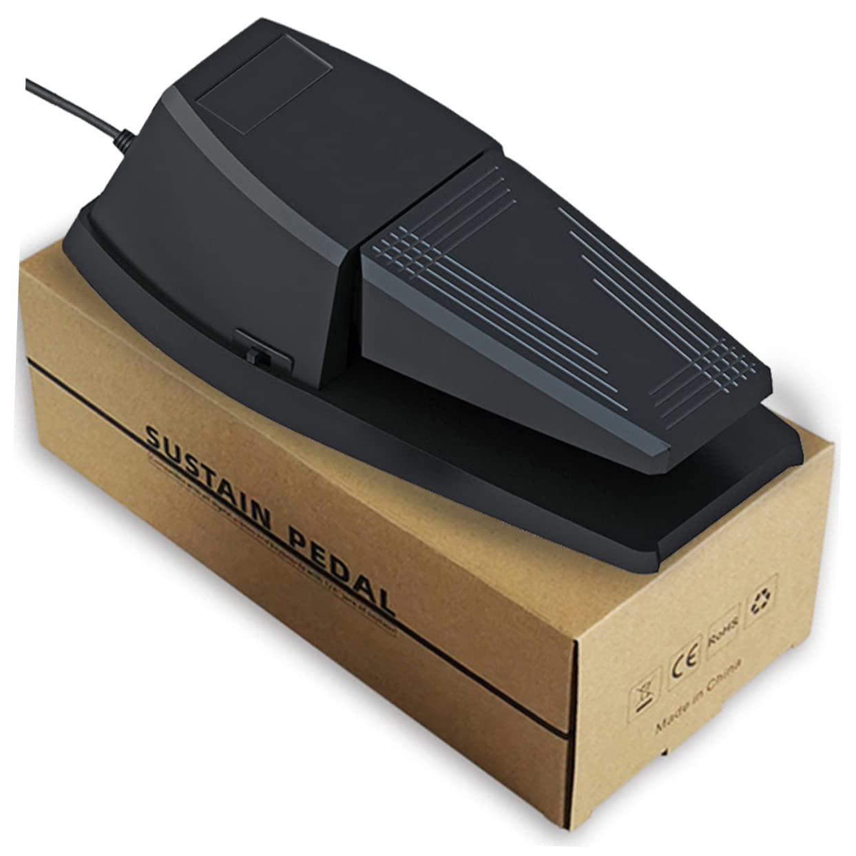 BESTonZON Pedale Sustain per Pianoforte Digitale Nero Portatile in Abs e Gomma Resistente All'usura Base Antiscivolo per Tastiera e Sintetizzatore