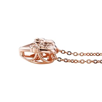 シナモン•*¨*•.¸♬︎ Amazon | [ホワイトクローバー] シナモロール Cinnamoroll