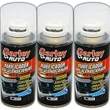 Bricoloco Purificador de aire acondicionado para coches 210 cc. Actúa por descarga. Aroma fresco. Fácil de usar (1)