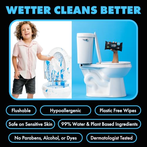 Image of DUDE + LiL' DUDE Wipes Flushable Wipes for Sensitive Skin - 99% Water, Unscented, Hole Family Flushing - 3 Pack (144 Count) + 2 Pack (84 Count) - Vitamin E and Aloe - Septic and Sewer Safe