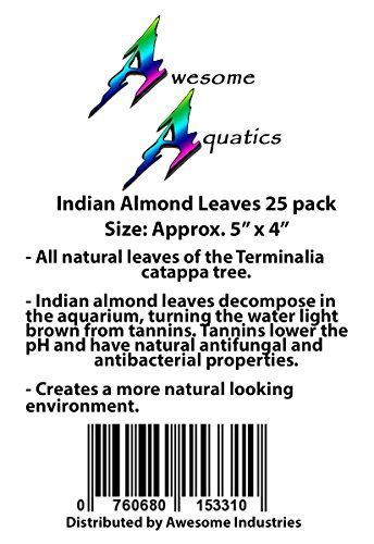 Image of Awesome Aquatic Catappa Indian Almond Leaves, 30 Count, 4-6 Inch | Natural Catappa Indian almond leaves for bettas, shrimp & fish. Releases tannins for blackwater aquariums and habitats.