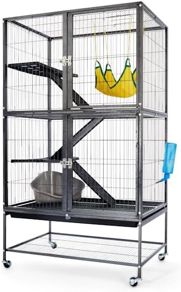 EveryYay by Petco Feisty Ferret Home