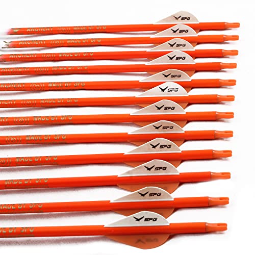 Sopoger 30 Inch Practice Arrows For Compound Bows - 500 Spine Carbon Arrows For Archery Bow Hunting Arrows For Target Practice Recurve Bow With Removable Tips (12 Packs) #TOP6
