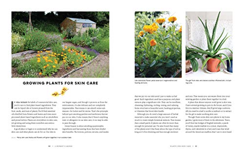 image for Cool Springs Press A Woman's Garden: Grow Beautiful Plants and Make Us