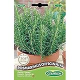 Germisem Rosmarin, mehrfarbig, EC1113