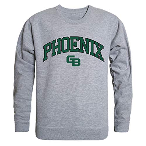 UWGB Wisconsin-Green Bay Phoenix NCAA Campus Crewneck Sweatshirt - Small, Heather Grey