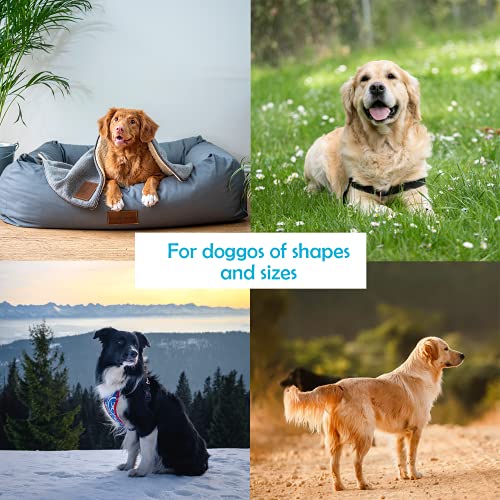 Dog Kennel Outdoor, Outside Kennels, Large Wire Crate, 4x8x6 Ft, Metal, Welded, Dogs Runs, w/Roof Cover, Big Enclosed… - Image 5