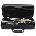 Jean Paul TR-330 Student Bb Trumpet - Brass Lacquered