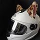 2 Stück Katzenohren für Helm,Motorrad Helm-Ohren Katzenohren Dekoration niedliches Helmzubehör für Fahrradhelm, Ski-Helm, Motorradhelm, Snowboardhelm Lustiges Tier Design Motorradhelm Zubehör