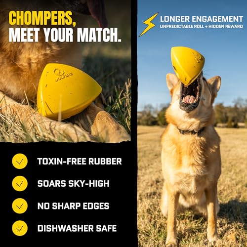 WoofBite Indestructible Pyramid Dog Toy - Tough Chew Toy for Aggressive Chewers - image 3
