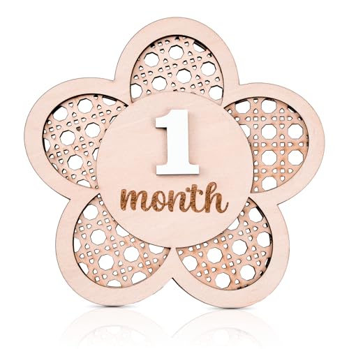 Image of Daisy 3D Baby Monthly Milestone, Wooden Baby Milestone Signs, Monthly Milestone Wood Discs, Baby Milestone Discs (Lattice)
