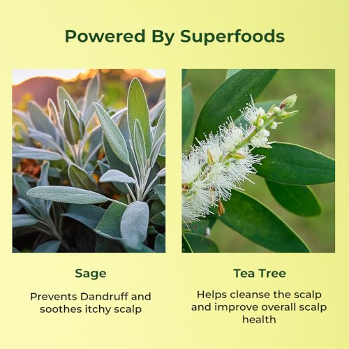 Image of Naturali Anti-Dandruff Scalp Serum With Sage, Tea Tree Oil & Salicylic Acid | Reduces Dandruff Flakes | Prevents Recurrence of Dandruff | Soothes Itchy Scalp | Paraben-free | Best Anti-dandruff Serum | 50ml