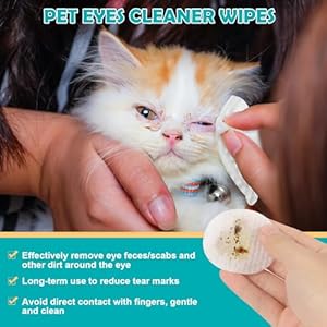 Dog-and-Cat-Eye-Wipes-Gently-Remove-Tear-Stains-Mucus-Secretions-Aloe-Vera-Extract-Beauty-CleanEye-Care-for-Dogs-and-CatsSterile-Cat-and-Dog-Wipes-Formulated-to-Remove-Eye-Debris-100-count - Cucciolini Doodles   Dog-and-Cat-Eye-Wipes-Gently-Remove-Tear-Stains-Mucus-Secretions-Aloe-Vera-Extract-Beauty-CleanEye-Care-for-Dogs-and-CatsSterile-Cat-and-Dog-Wipes-Formulated-to-Remove-Eye-Debris-100-count
