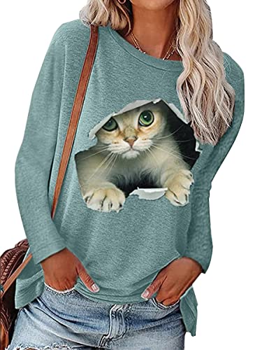 Die besten und schönsten Jacken für Deine Katze im Überblick - Ratgeber