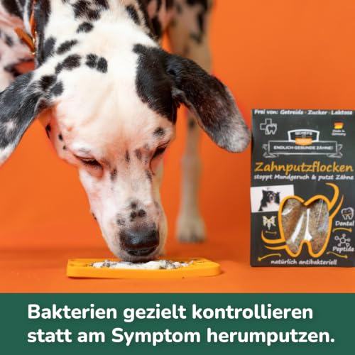 QCHEFS 2X Zahnputzflocken für Zahnpflege Hund Zahnreinigung gegen Zahnstein