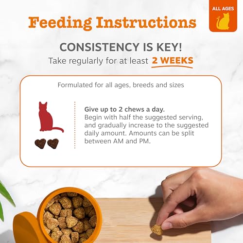 Image of Zesty Paws Cranberry Urinary Tract Bites for Cats - Kidney & Urinary Tract Health - Soft Chews with D-Mannose, Vitamin B6 & L-Arginine - Immune & Gut Support - Bacon - 60 Count