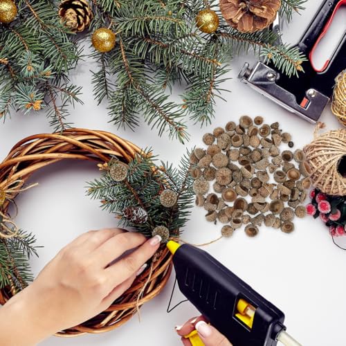 Set de Adornos Naturales de Cáscara de Bellota 50 Pzs miniatura 2