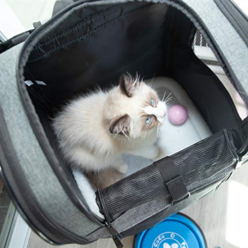 UG Pet Carrier Backpack,Ventilated for Large and Small Dogs and Cats Safety Features Travel Airline-Approved Outdoor Bag - Image 6
