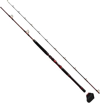 Amazon | シマノ(SHIMANO) 船竿 24 チェルマーレ 落し込み 64M/MH245