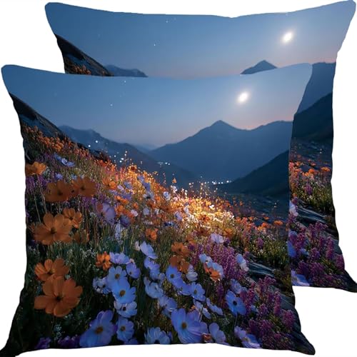 �N�b�V�����J�o�[ 55x55cm �h���N�b�V�����J�o�[ �A�E�g�h�A�\�t�@�[�N�b�V���� 2�_�Z�b�g �K�[�f���V�[�g�������J�o�[ ���l������ �����s���[�J�o�[, �l�G�ʗp �щB���t�@�X�i�[�� ���ʃp�^�[���N�b�V���� �K���� ���蕨�ɂ��� �ԎR X8JJ-360