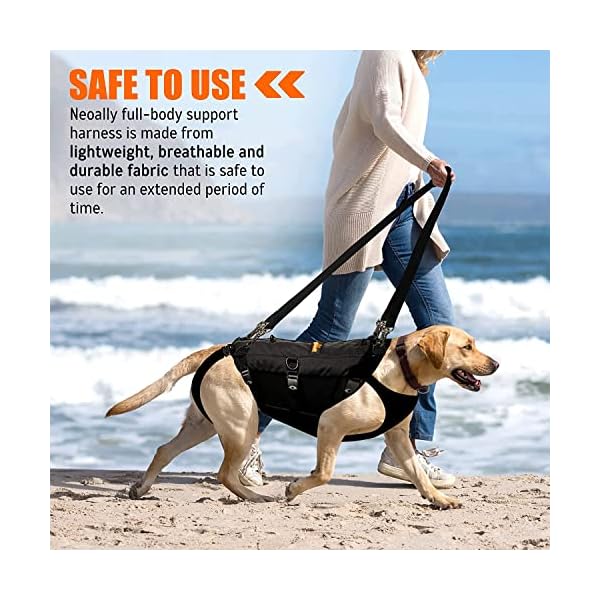 5-in-1 Dog Support Harness – Full Body Lift Harness Support Sling Padded Vest Back Brace – Great for Pet Mobility, Hip & Joints, Back Support, Anxiety by Neoally (Small) 5-in-1 Dog Support Harness – Full Body Lift Harness Support Sling Padded Vest Back Brace – Great for Pet Mobility, Hip & Joints, Back Support, Anxiety by Neoally (Small)