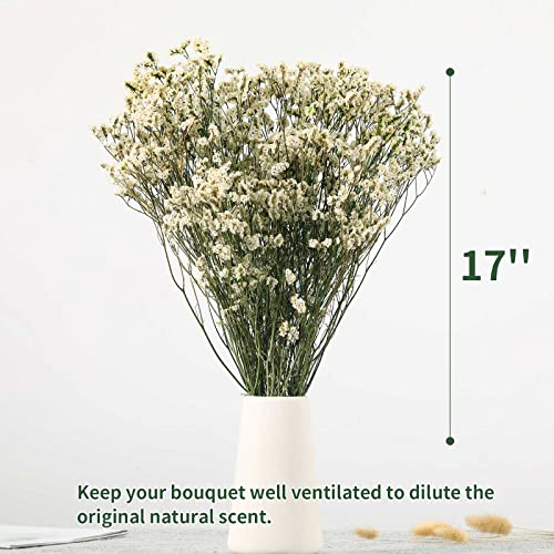 Dried Flowers Babys Breath Bouquet, Natural White Dry Flowers – 17'' 1800+ Ivory Flowers, Preserved Gypsophila Branches For Wedding, Farmhouse Vase Decor, Diy Wreath Floral, Home Party Decoration #TOP3