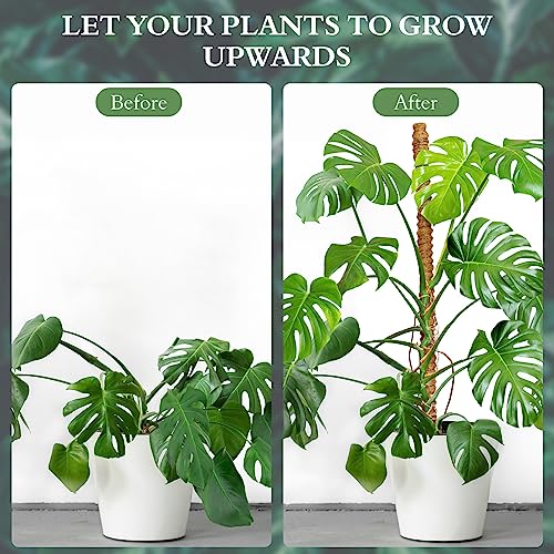 2 Pack Moss Pole For Plants Monstera - 25 Inch Bendable Plant Stakes For Indoor, Moss Poles For Climbing Plants, Handmade Coco Coir Pole Plant Support For Creeper Plants Grow Upwards #TOP1