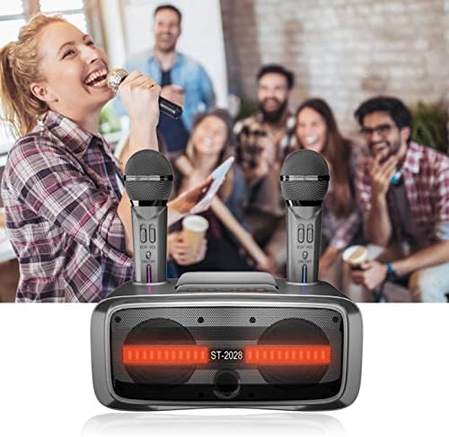 Bluetooth Karaoke Machine, Portable Karaoke Speaker System Portable Karaoke Speaker with 2 Mic for Wedding Party Lecture Silver Black