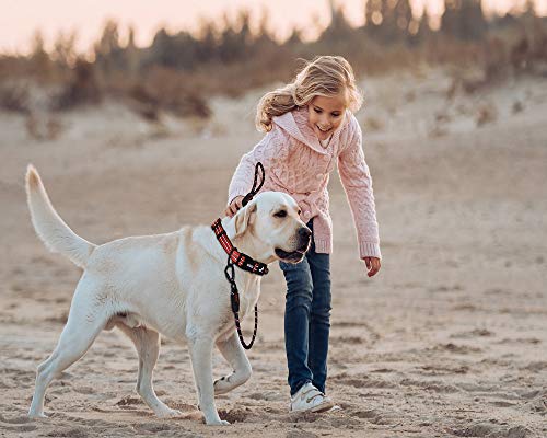 Kruz Reflective Dog Leash - KZROPE5060-02L - Soft Silicone Grip - Click & Lock Snap - Pet Walking, Running, Training - Heavy-Duty, Durable Rope - Security, Control and Comfort - Blue - 1/2" x 5 FT - Thumbnail 6