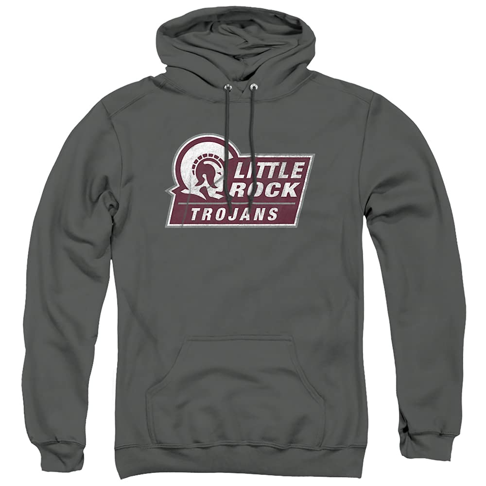 LOGOVISION Official Collegiate Distressed Primary Logo Adult Pullover Hoodie Collection — view 517