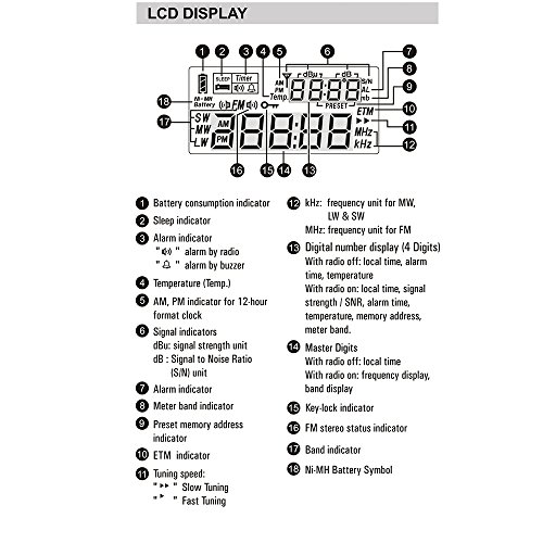 PL-310ET FM estéreo/SW/MW/LW banda mundial PLL DSP rádio preto