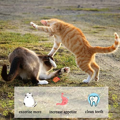 miaolemi Cat Toys for Indoor Cats,4 Pack of Catnip Treats with Strong Catnip to Clean Teeth and Increase Appetite