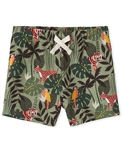 The Children's PlaceThe Children's Place Baby and Toddler Boys French Terry Fashion ShortsMISTY GLEN5T