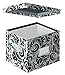 Snap-N-Store Letter Size File Box, 11 x 14 x 1 Inches, Black and White Scroll Design (SNS01836)